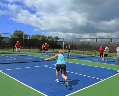 Pickleball Court