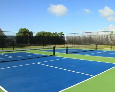 Pickleball Court