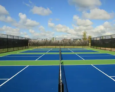 Pickleball Court